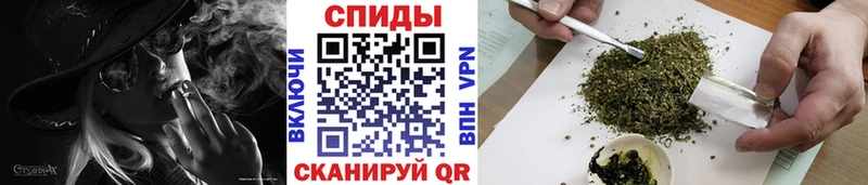 Бутират буратино  Купить где  Свободный 