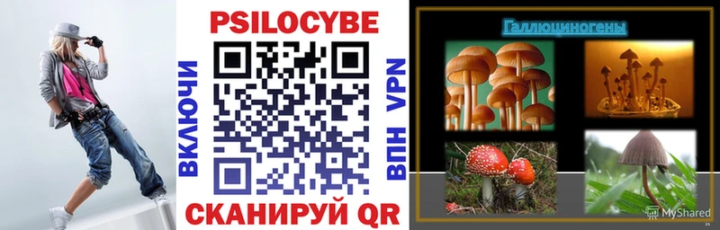 Купить закладки  Свободный  Галлюциногенные грибы Psilocybe 